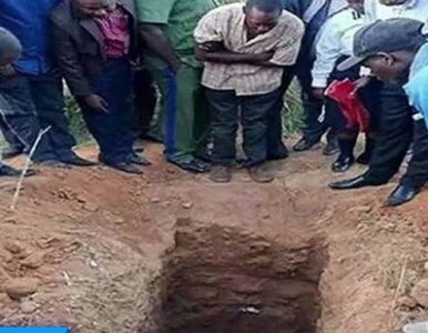 Miniatura: Pastor poprosił, by pogrzebać go w ziemi...