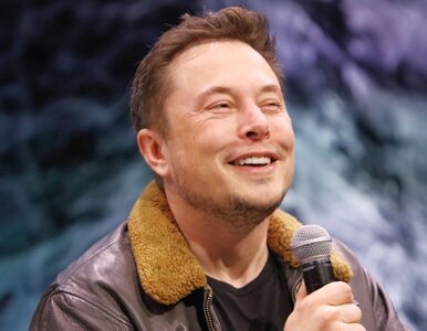 Miniatura: „Nikt nie chce posady CEO Twittera”. Elon...