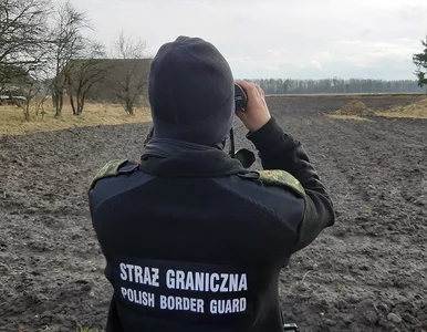 Miniatura: Straż Graniczna ujawniła nielegalnych...