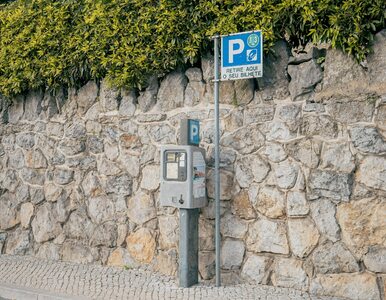 Miniatura: Płatne parkingi przy polskich plażach. Od...