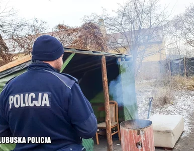 Miniatura: Lubuskie. Rodzina koczowała w namiocie...