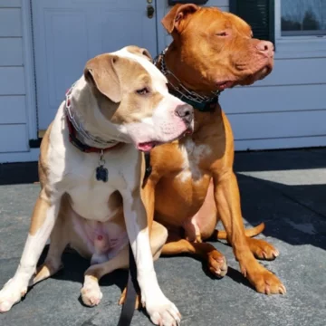 Roman i Spanky 