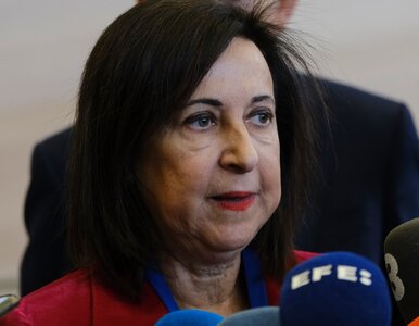 Miniatura: Nawigacja w samolocie z ministrą obrony...