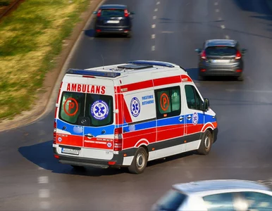 Miniatura: Tragiczna śmierć 3-latki. Dziewczynka...