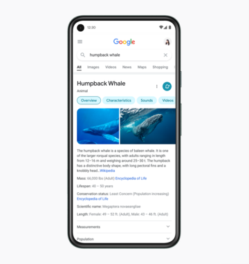 Nowy design wyszukiwarki mobilnej Google'a
