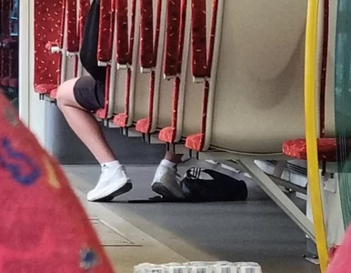 Miniatura: Już wiemy, gdzie podział się cukier....