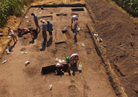 Miniatura: Megabuty znalezione przez archeologów....