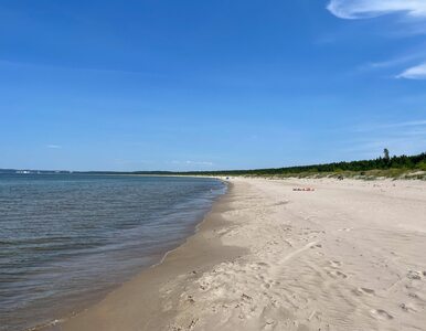 Miniatura: Ksiądz miał masturbować się na plaży w...