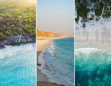 Miniatura: Tutaj w październiku będzie 30 stopni....