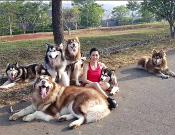 Właścicielka ze swoimi psami 