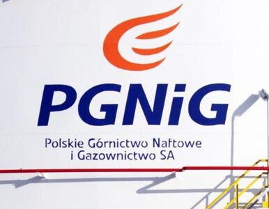 Miniatura: PGNIG wciąż szuka gazu łupkowego