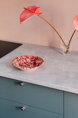 Miniatura: Mieszkanie w Katowicach, projekt MISTOVIA...