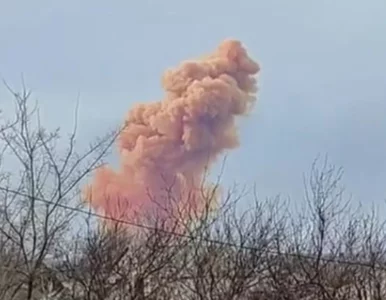 Miniatura: Szef władz obwodu ługańskiego nazwał...