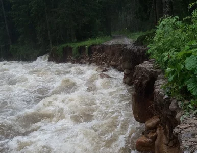 Miniatura: Nadchodzą ulewne deszcze. Wydano alerty...