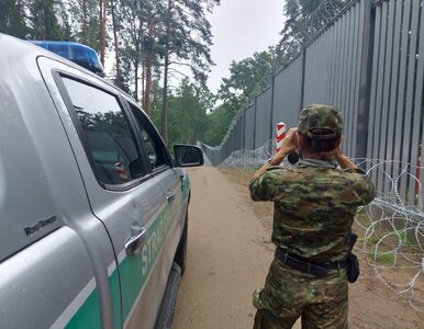 Miniatura: 600 zatrzymań przy granicy z Białorusią....