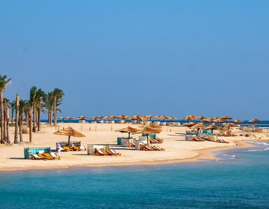 Miniatura: Last minute za mniej niż 1800 zł. Dużo...