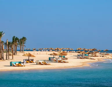 Miniatura: Last minute za mniej niż 1800 zł. Dużo...