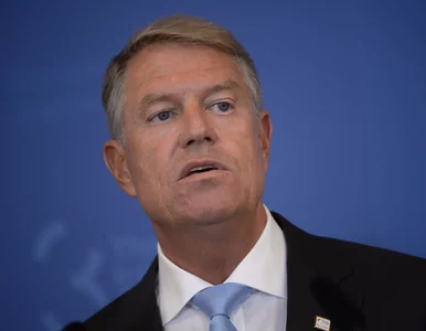 Miniatura: Na terytorium państwa NATO znaleziono...