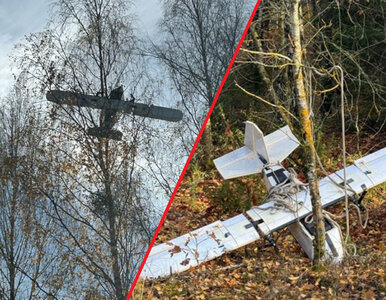 Miniatura: Obcy dron naruszył polską przestrzeń...