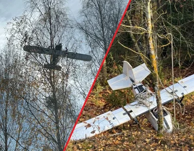 Miniatura: Obcy dron naruszył polską przestrzeń...