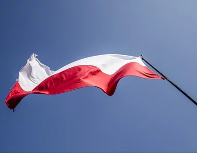 Miniatura: Jak dobrze znasz flagi państw? Spróbuj...