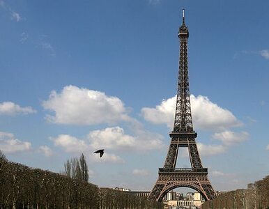Miniatura: Paryż: 13 ton miniaturowych wieży Eiffla w...