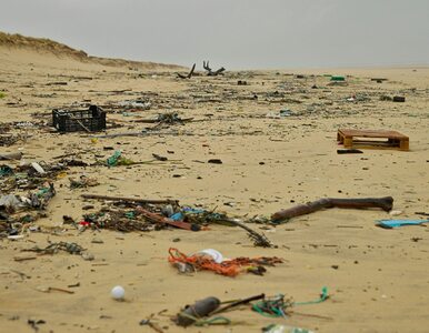 Miniatura: Polacy zostawili plażę w tragicznym...