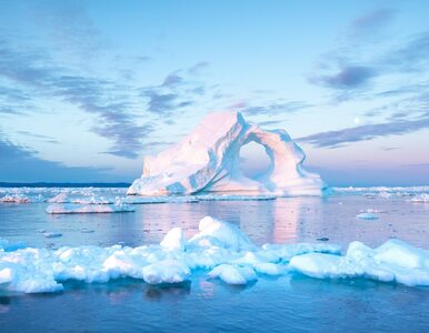 Miniatura: Firma z Grenlandii sprzedaje lód do barów...