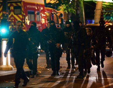 Miniatura: Zamachy w Paryżu. Terroryści przedostali...