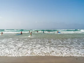 Miniatura: „Błękitne smoki” na europejskiej plaży....