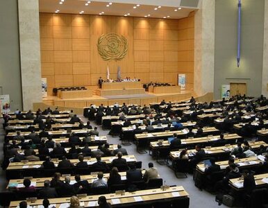 Miniatura: ONZ apeluje o obronę Syryjczyków