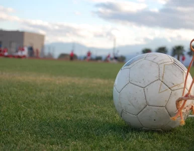 Miniatura: Jasnowidz wygrał typując wyniki meczów....