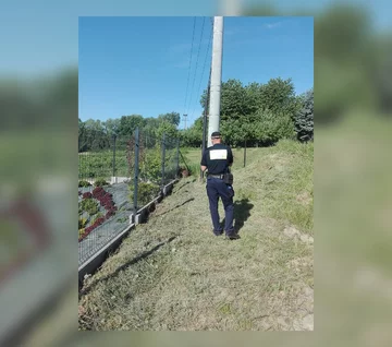 "Polowanie" na kangura 