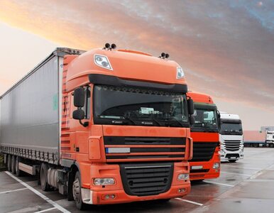 Miniatura: Polscy dealerzy ciężarówek zawiązali zmowę...