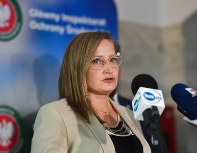 Miniatura: GIOŚ o dotychczasowych ustaleniach ws....