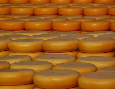 Miniatura: Ukradł ponad tonę sera, wpadł za piątym razem