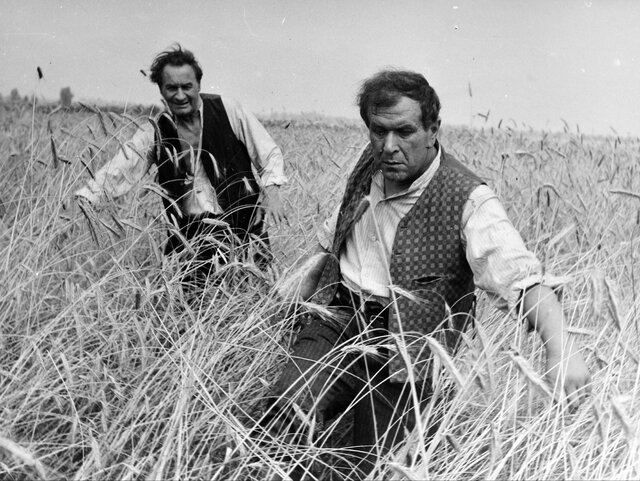 To kadr z&nbsp;kultowej komedii „Sami swoi”.