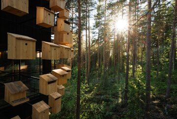 Biosphere, dom na&nbsp;drzewie z&nbsp;kompleksu Tree Hotel, proj. BIG