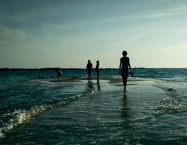 Miniatura: Dramatyczne sceny na plaży w Łebie....