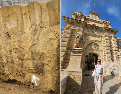 Miniatura: 13 prosiaczków i zagubione dzieło sztuki....