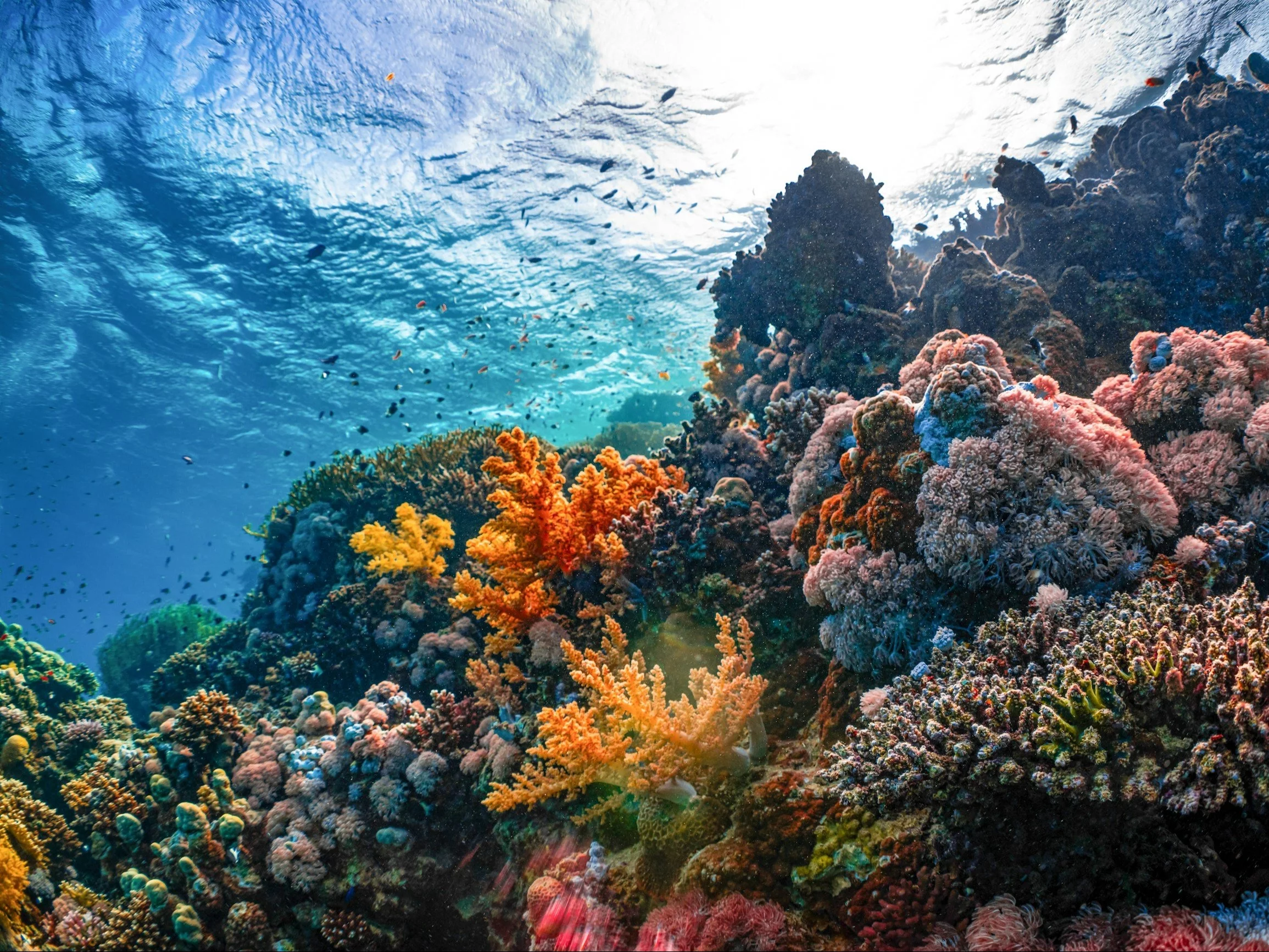 Sobotni quiz z wiedzy ogólnej. Zdobędziesz komplet punktów?