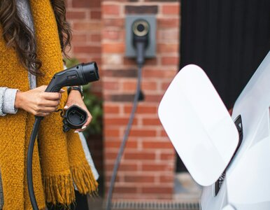 Miniatura: Dopłaty do elektryków już nie wrócą....