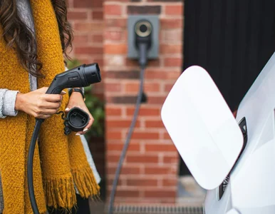 Miniatura: Dopłaty do elektryków już nie wrócą....