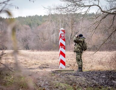 Miniatura: Polscy żołnierze zakuci w kajdanki....
