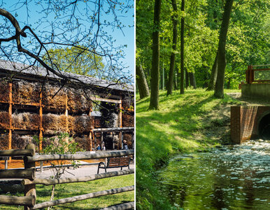 Miniatura: Jedyne uzdrowisko na Mazowszu z...