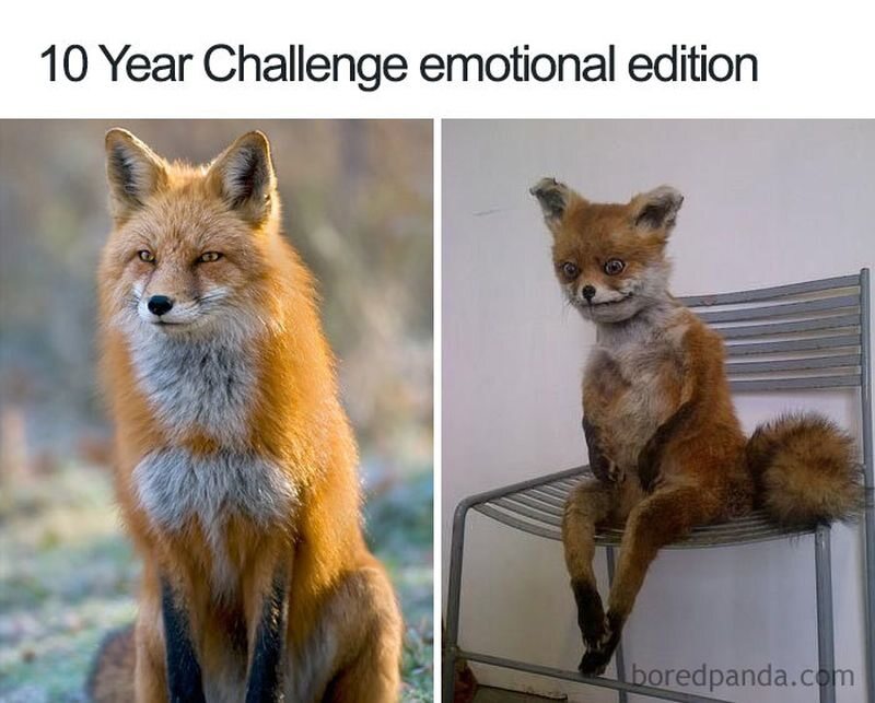 Mem zainspirowany zabawą 10 year challenge 