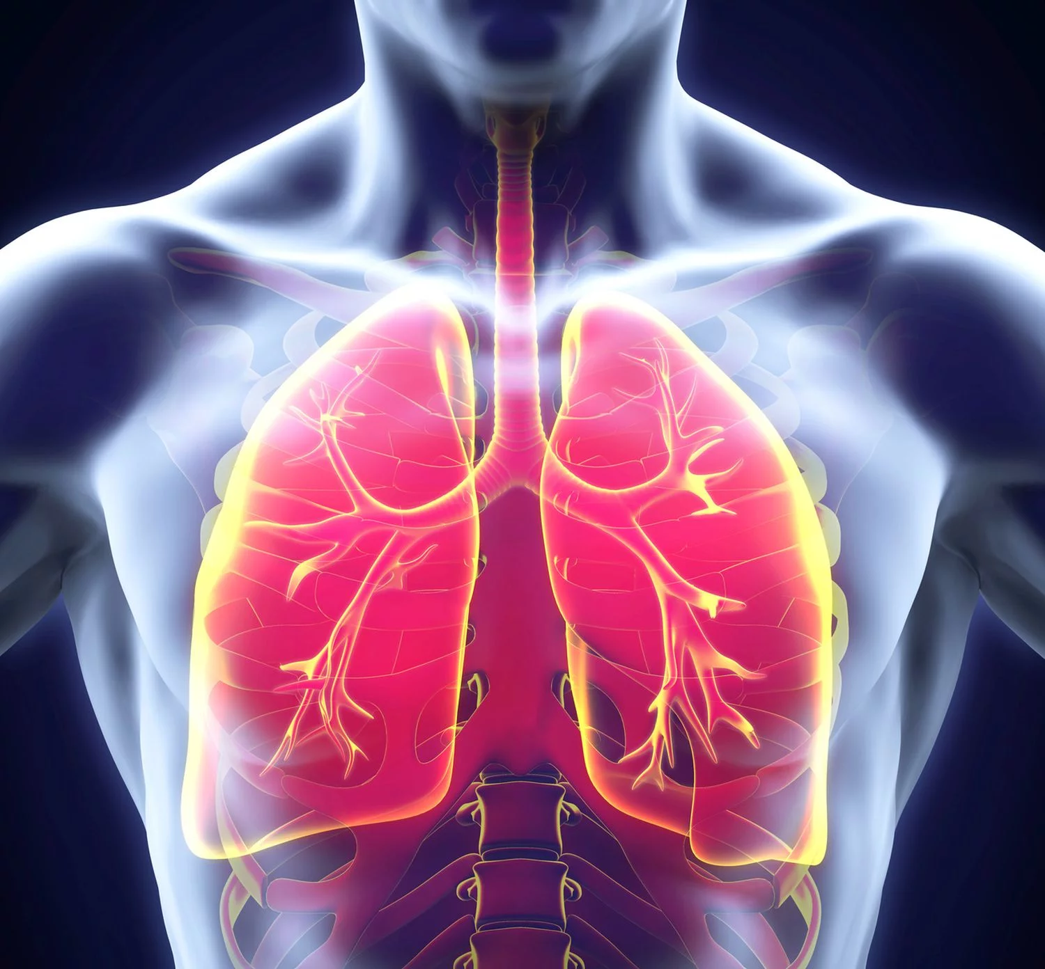 QUIZ: Układ oddechowy – ile o nim wiesz?