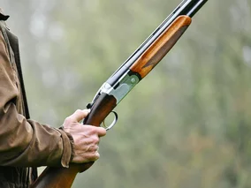 Miniatura: Mieszkańcy boją się chodzić do lasu....