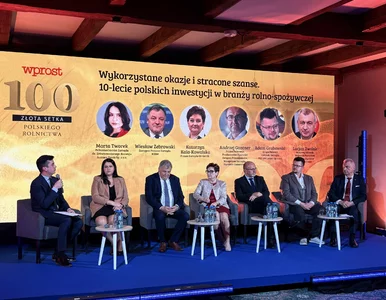 Miniatura: Wykorzystane okazje i stracone szanse....