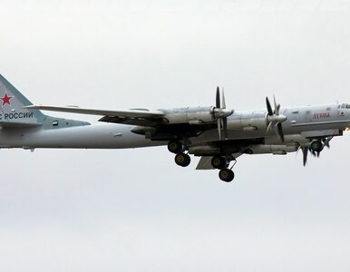 Miniatura: Rosyjski samolot na terytorium NATO....